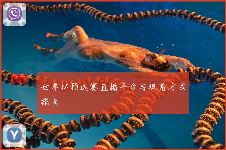 世界杯预选赛直播平台与观看方式指南