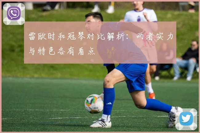 雷欧时和冠琴对比解析：两者实力与特色各有看点