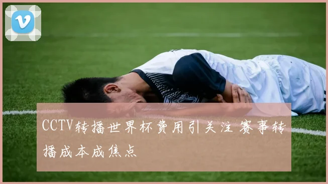 CCTV转播世界杯费用引关注 赛事转播成本成焦点