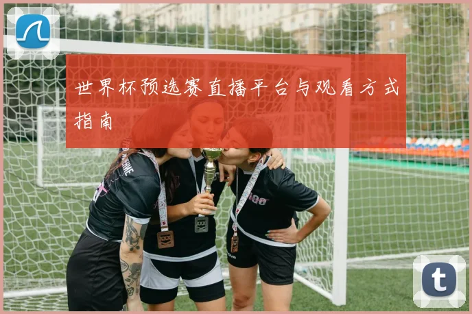 世界杯预选赛直播平台与观看方式指南