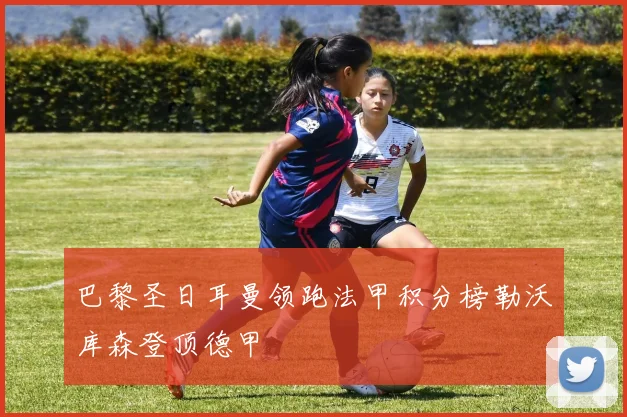 巴黎圣日耳曼领跑法甲积分榜勒沃库森登顶德甲