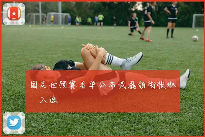 国足世预赛名单公布武磊领衔张琳芃入选