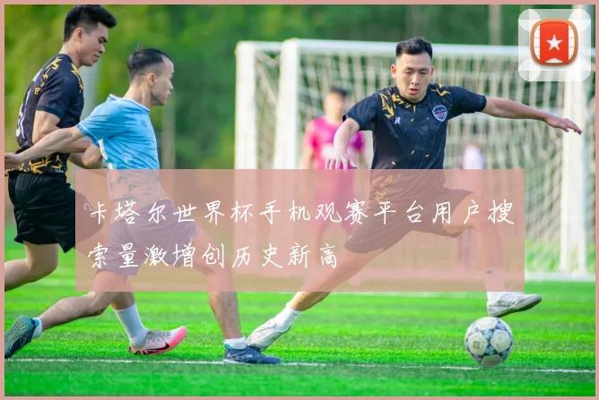 卡塔尔世界杯手机观赛平台用户搜索量激增创历史新高