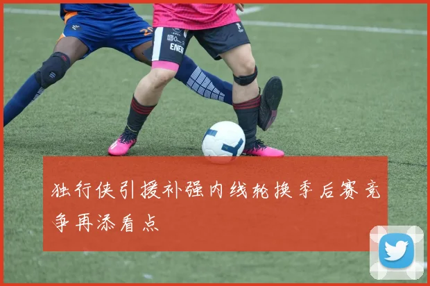 独行侠引援补强内线轮换季后赛竞争再添看点